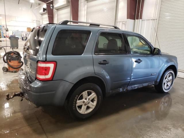 2010 Ford Escape Hybrid