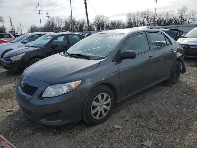 2010 Toyota Corolla Base