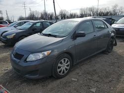 Salvage cars for sale from Copart Columbus, OH: 2010 Toyota Corolla Base