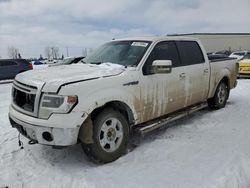 Salvage cars for sale from Copart Rocky View County, AB: 2014 Ford F150 Supercrew