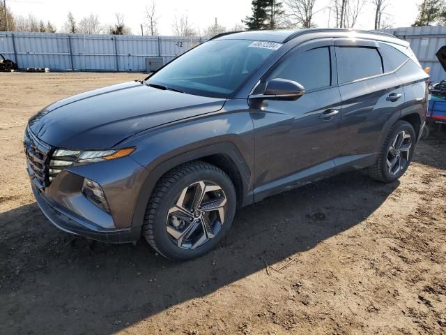 2023 Hyundai Tucson Luxury