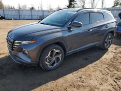 Hyundai salvage cars for sale: 2023 Hyundai Tucson Luxury