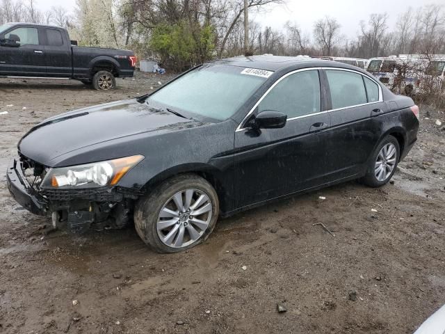 2011 Honda Accord EXL