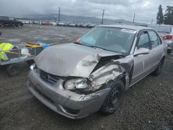 Toyota Corolla salvage cars for sale: 2001 Toyota Corolla CE