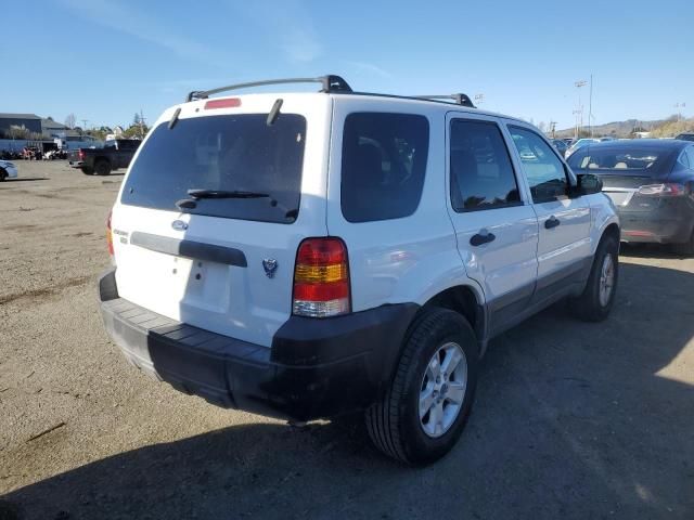 2006 Ford Escape XLT