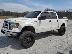 Salvage cars for sale from Copart Cartersville, GA: 2013 Ford F150 Supercrew