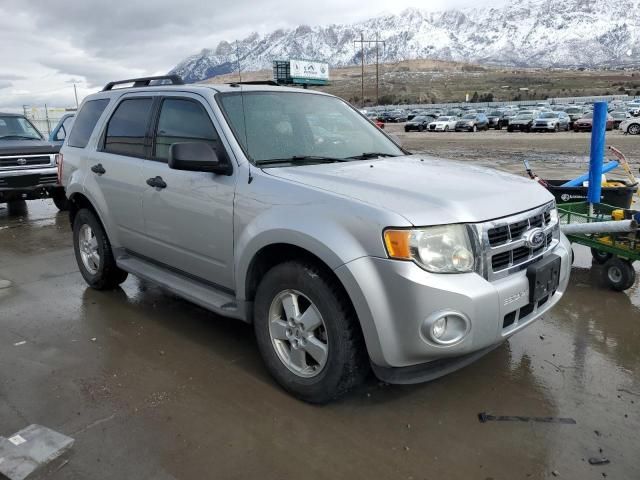 2010 Ford Escape XLT