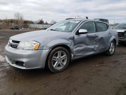 Salvage cars for sale at Columbia Station, OH auction: 2013 Dodge Avenger SXT