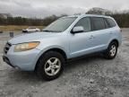 2007 Hyundai Santa FE GLS