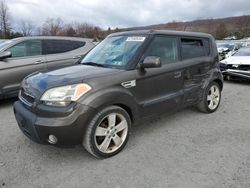 KIA Soul salvage cars for sale: 2010 KIA Soul +