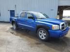 2007 Dodge Dakota Quad SLT