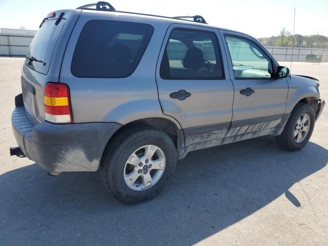 2007 Ford Escape XLT