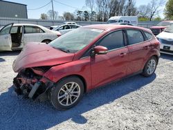 Ford Focus SE salvage cars for sale: 2017 Ford Focus SE