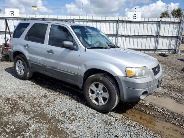 2007 Ford Escape XLT