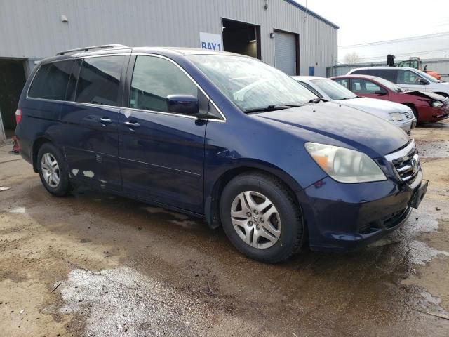 2005 Honda Odyssey EXL