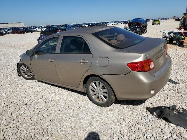 2010 Toyota Corolla Base