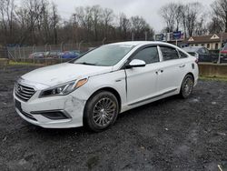 Salvage cars for sale from Copart Finksburg, MD: 2017 Hyundai Sonata SE