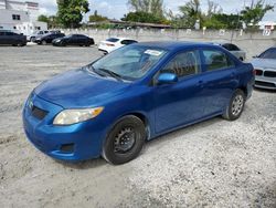 Salvage cars for sale at Opa Locka, FL auction: 2010 Toyota Corolla Base