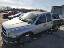 Dodge Vehiculos salvage en venta: 2004 Dodge RAM 1500 ST