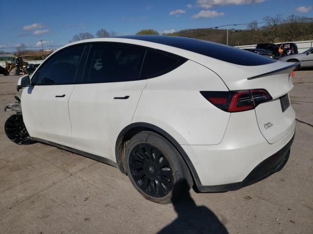 2020 Tesla Model Y