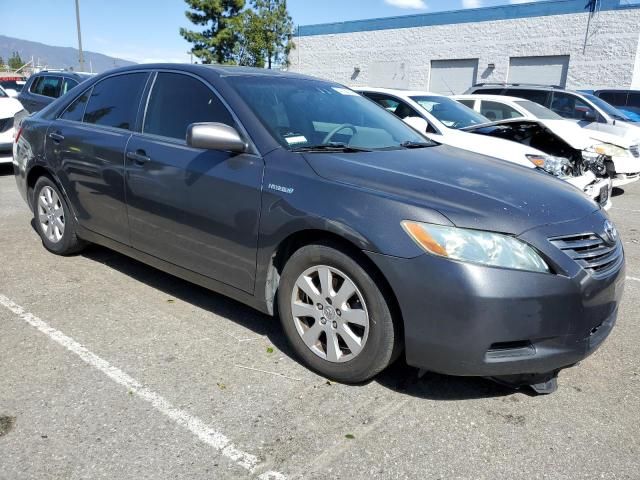 2009 Toyota Camry Hybrid