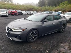 Salvage cars for sale from Copart Kapolei, HI: 2021 Nissan Maxima SV