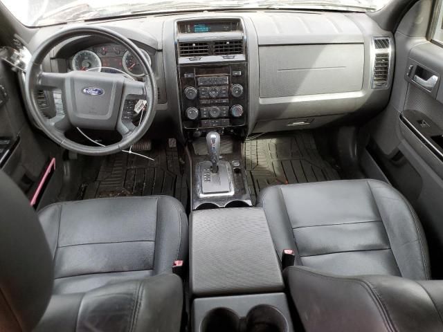 2010 Ford Escape Limited