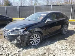 Lexus NX salvage cars for sale: 2017 Lexus NX 200T Base