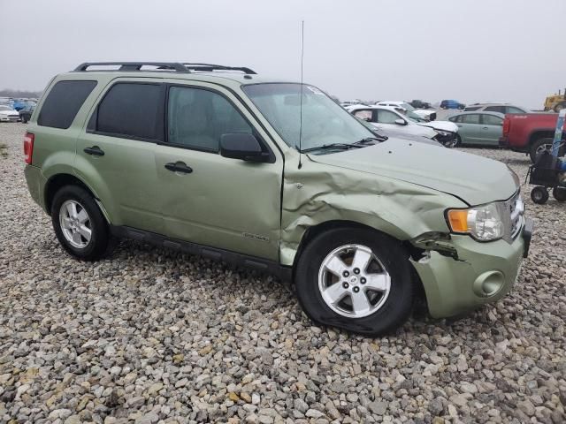 2008 Ford Escape XLT