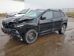 2014 Jeep Cherokee Trailhawk en venta en Portland, MI