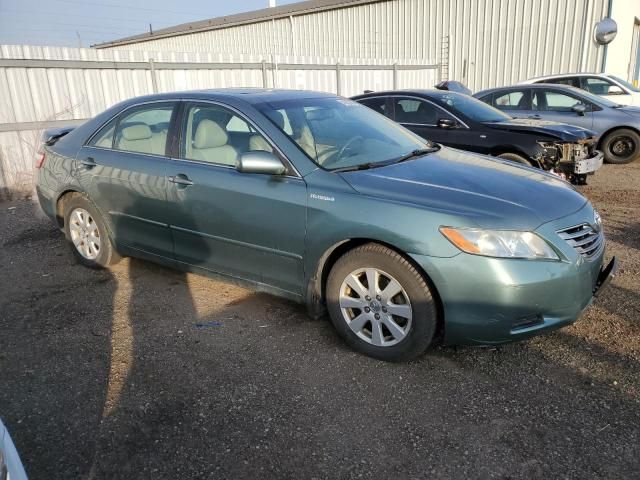 2009 Toyota Camry Hybrid