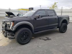 Salvage cars for sale at Antelope, CA auction: 2023 Ford F150 Raptor