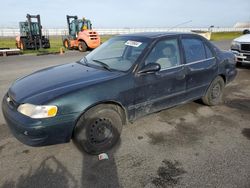 Salvage cars for sale from Copart Sacramento, CA: 1999 Toyota Corolla VE