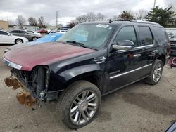 Salvage cars for sale at Moraine, OH auction: 2013 Cadillac Escalade Platinum