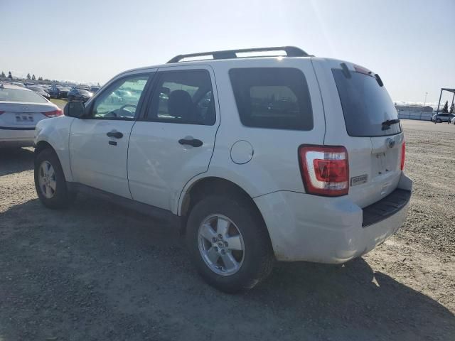 2012 Ford Escape XLT