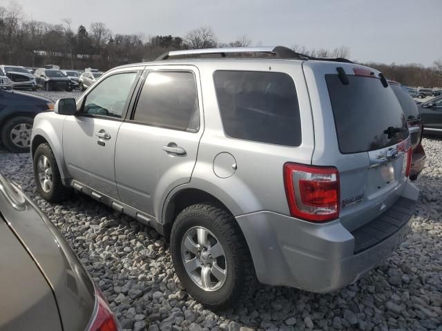 2010 Ford Escape Limited