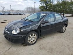 Dodge salvage cars for sale: 2004 Dodge Neon SXT