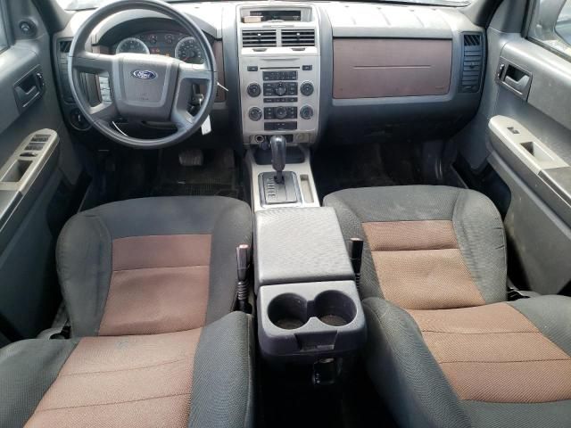 2008 Ford Escape XLT