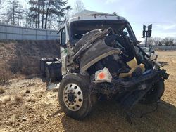 Salvage Trucks with No Bids Yet For Sale at auction: 2019 Freightliner Cascadia 126