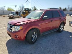 2010 Ford Escape XLT en venta en Oklahoma City, OK