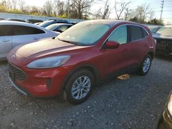 Salvage SUVs for sale at auction: 2020 Ford Escape SE