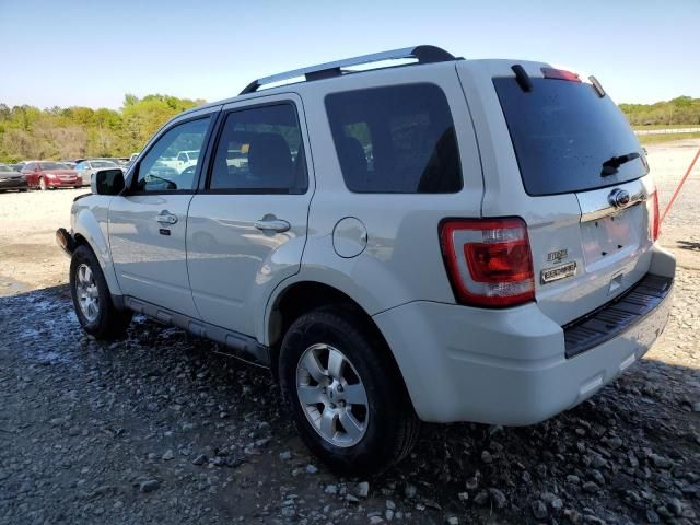 2012 Ford Escape Limited