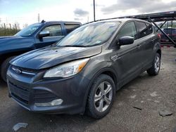 Salvage cars for sale at Bridgeton, MO auction: 2015 Ford Escape SE