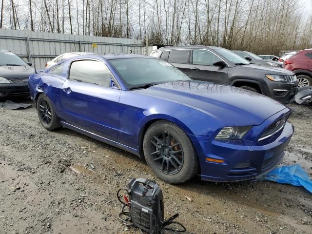 2013 Ford Mustang