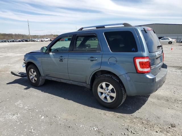 2011 Ford Escape Limited