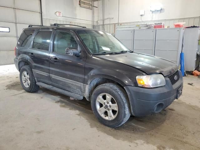 2005 Ford Escape XLT