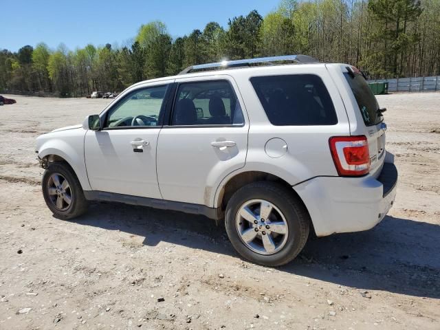 2011 Ford Escape Limited