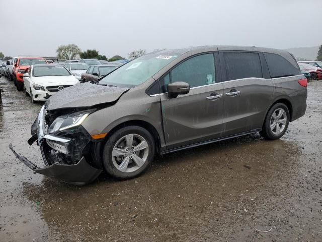 2019 Honda Odyssey EXL