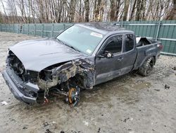 Salvage cars for sale at Candia, NH auction: 2022 Toyota Tacoma Access Cab