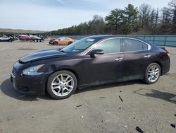 Salvage cars for sale at Brookhaven, NY auction: 2010 Nissan Maxima S